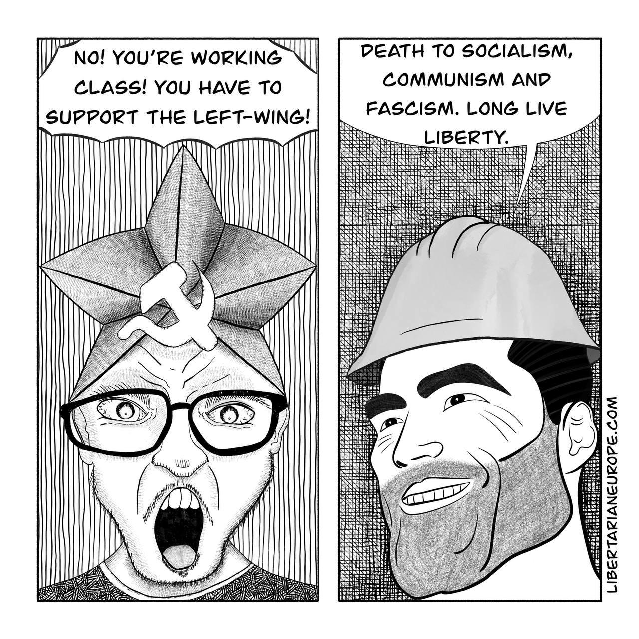 cw5lu5l8u6ga1.jpg