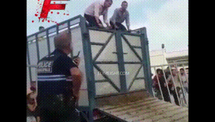 tumblr_pohj73q0LK1tsf68ao1_400.gif