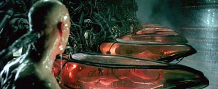 pods1.jpg