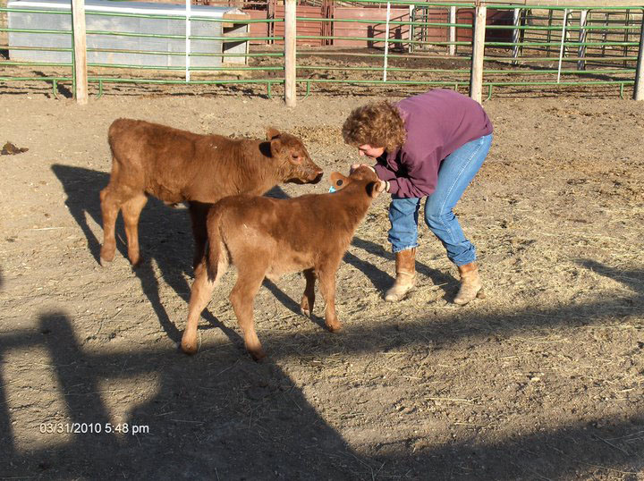 lura_calves.jpg