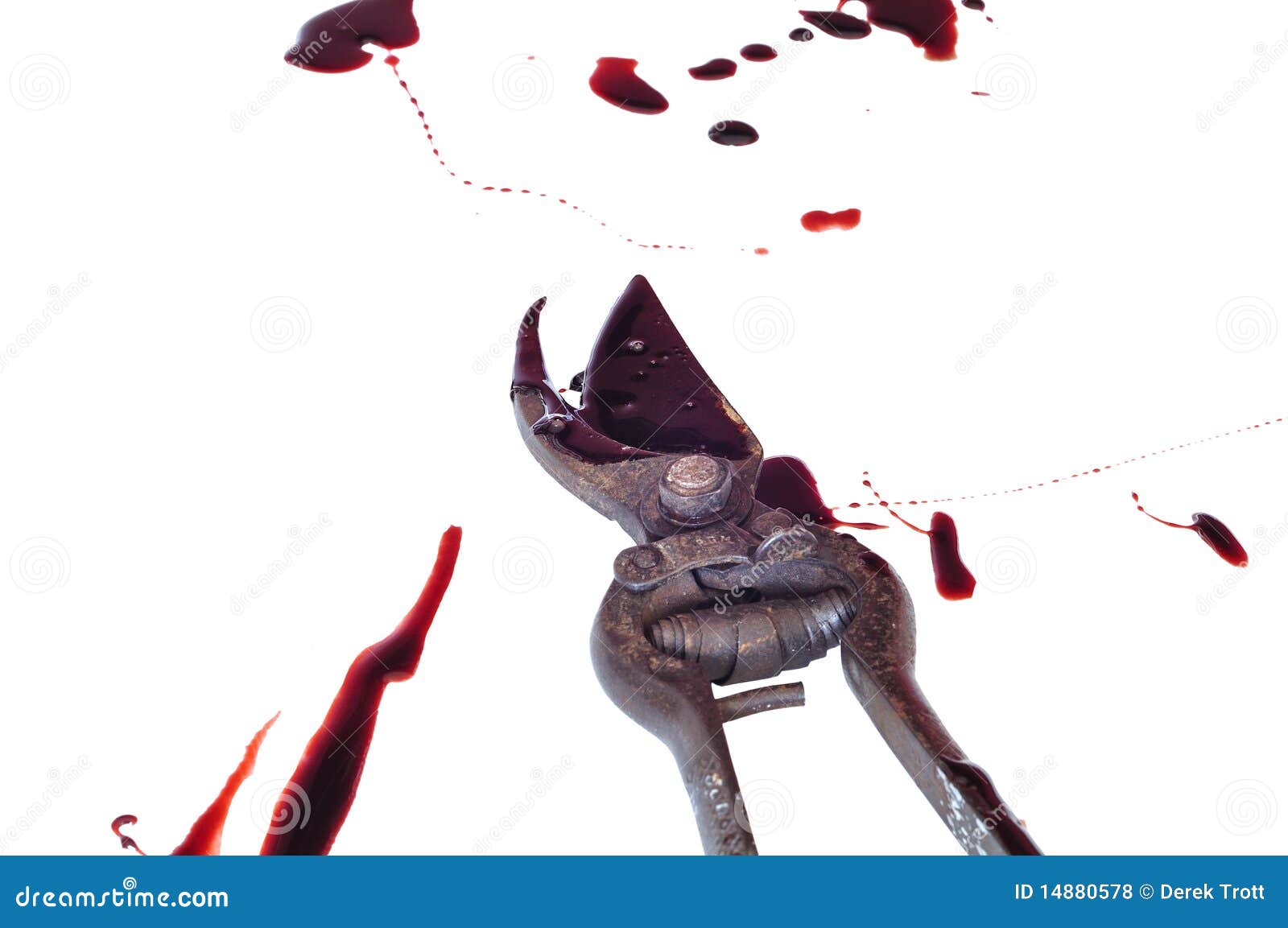 bloody-gory-pruners-14880578.jpg
