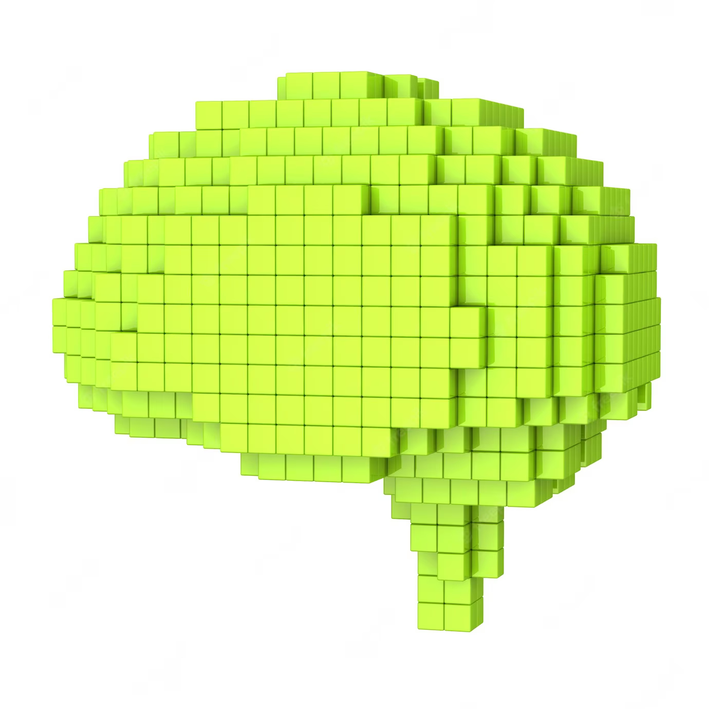 voxel-human-brain.jpg
