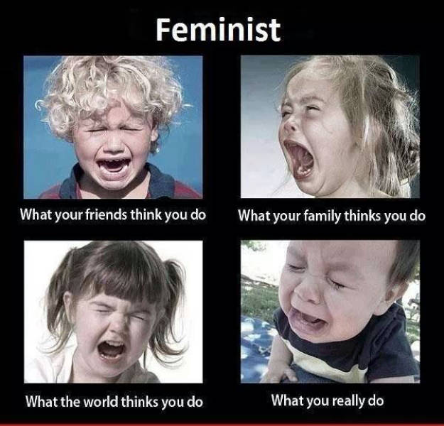 feminist._8266267715.jpg