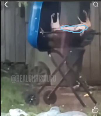 Cats-Grill2.png