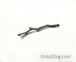twig1.jpg