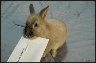552016235314.gif