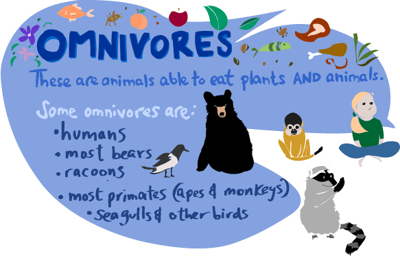 omnivore.gif