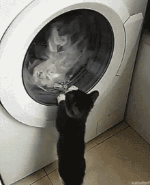tenor.gif