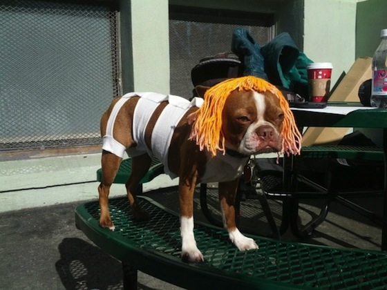Leeloo-Costume.jpg