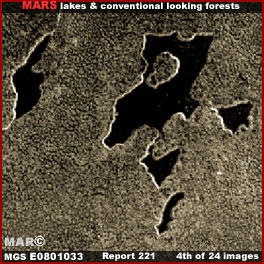 04-221-E0801033.jpg