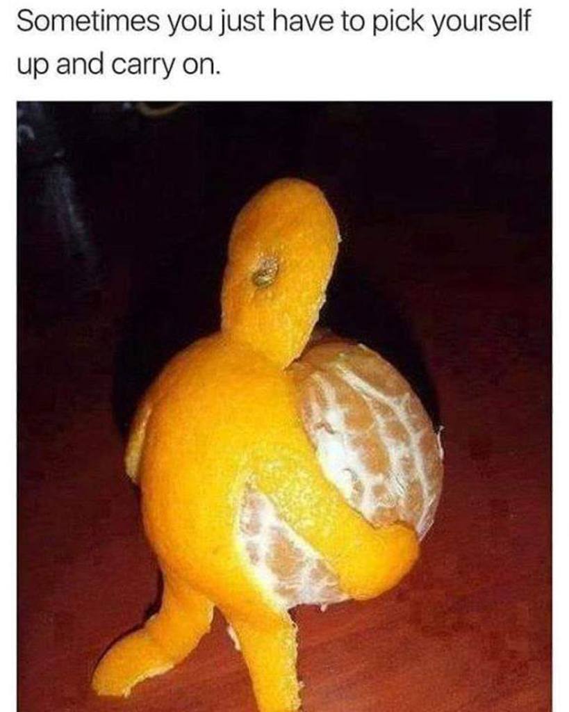 968152589027340288
