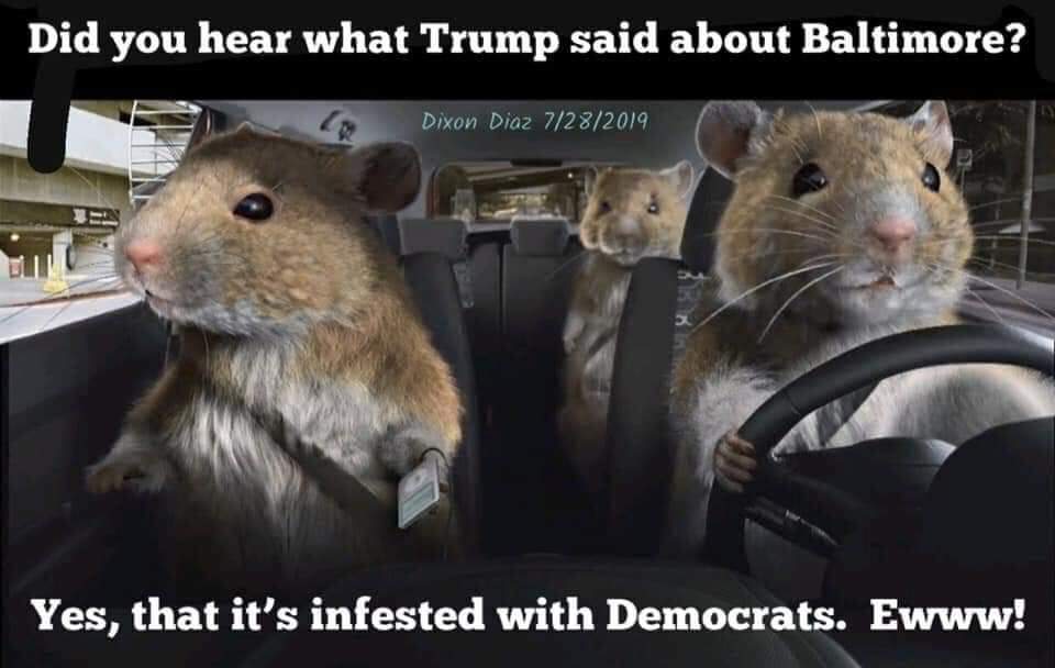 6vgrnjkwwbd31.jpg