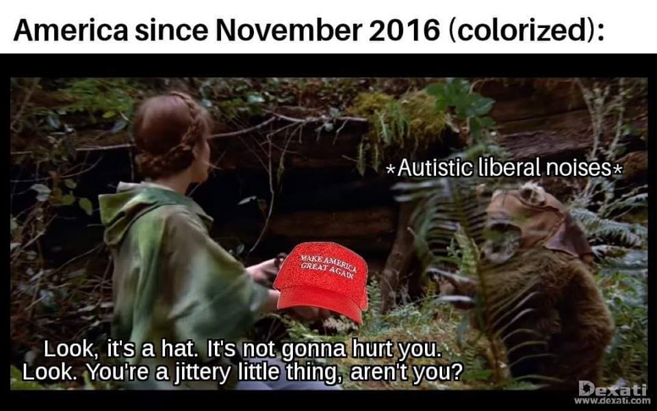 meme-maga-hat-and-autistic-liberals.jpg
