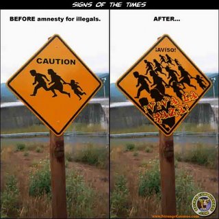 amnesty.jpg