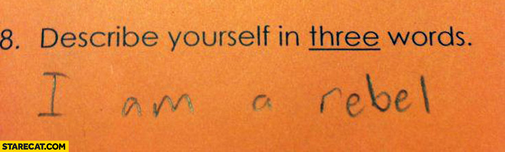 describe-yourself-in-three-words-i-am-rebel.jpg