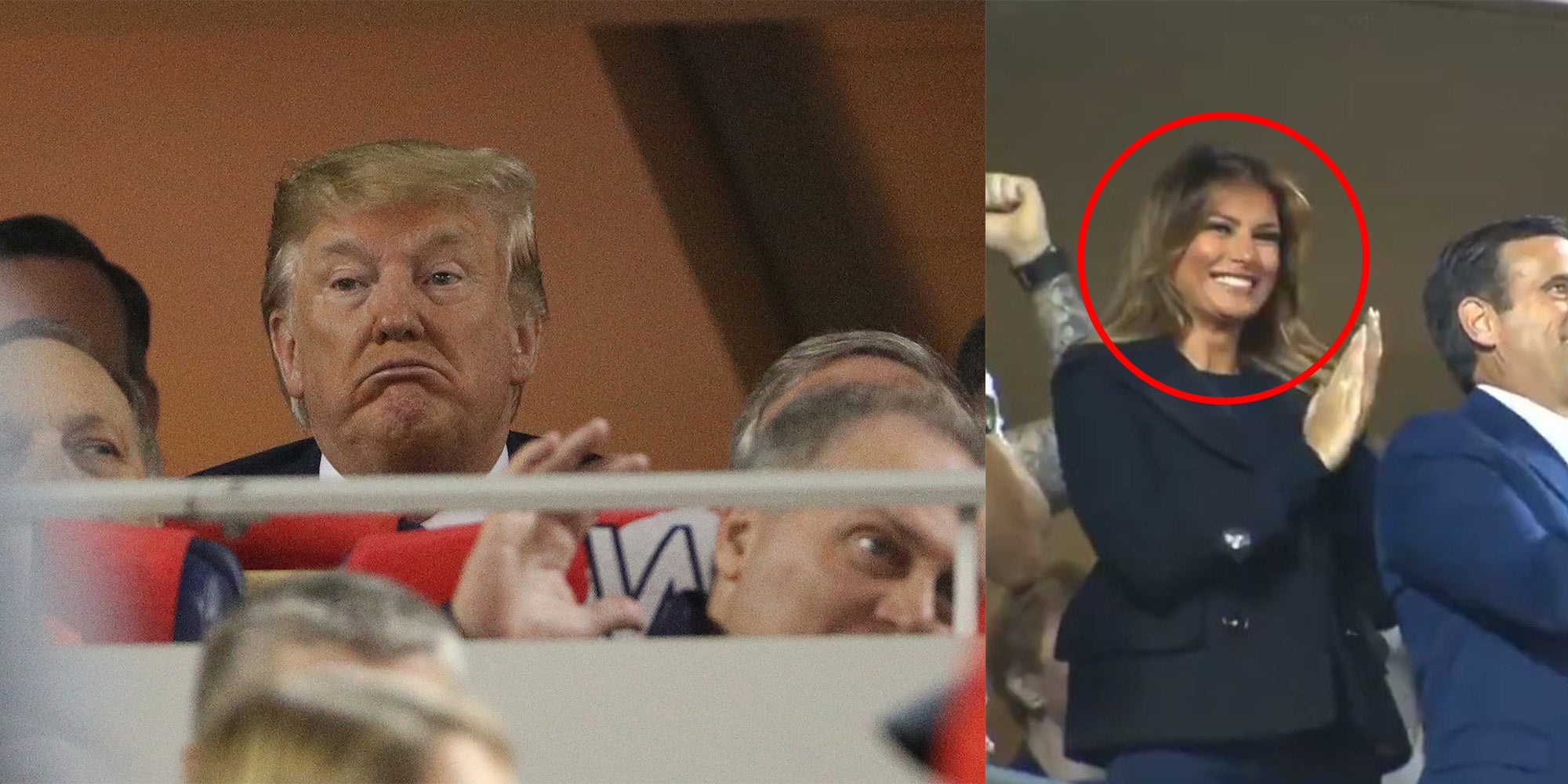 dtmelania.jpg