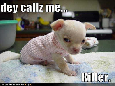 Killer.jpg