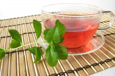 stevia(1).jpg