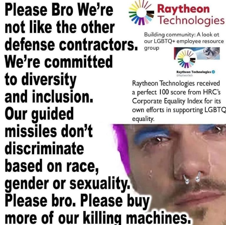 raytheon-please-bro-768x762.jpeg
