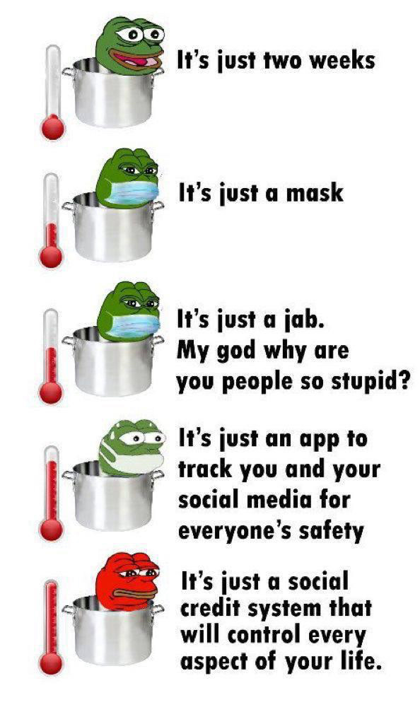367797_182prxhbxkd9c5k.jpeg