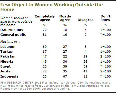 2010-muslim-americans-s5-11.png