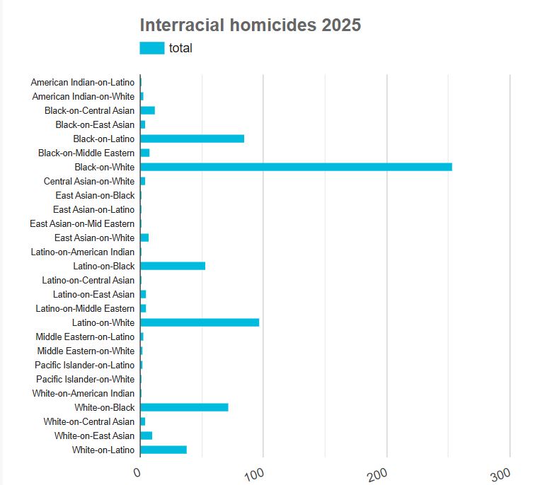2025-interacial-homicide.jpg