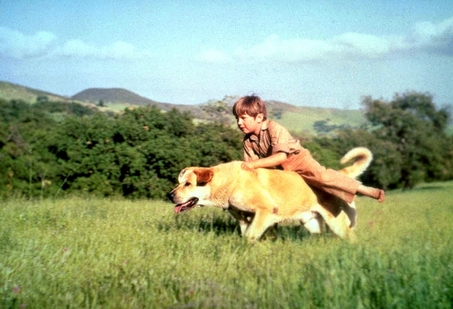 old-yeller-001.jpg