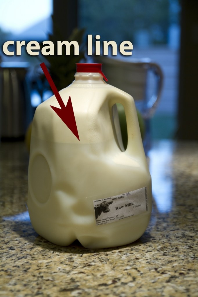 raw-milk-cream-line-682x1024.jpg