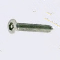 Security_Screw_Torx_Pin_Head.jpg