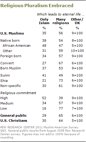 2010-muslim-americans-s2-08.png