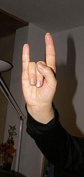 michelle-obama-makes-devils-horn-sign-on-vogu-L-wQakJr.jpeg