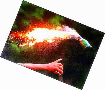 molotov-cocktail.jpg
