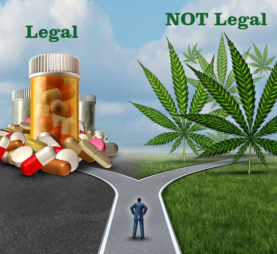 Cannabis-versus-Pharmaceuticals.jpg