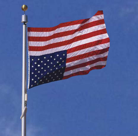 flagindistress.jpg