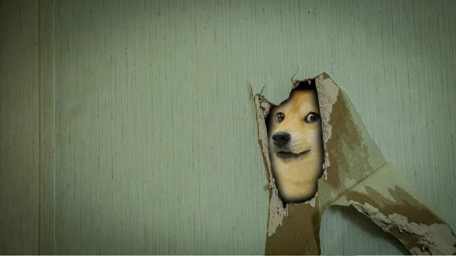 doge-wall-break-meme-179drvep7yh4cqa8.webp