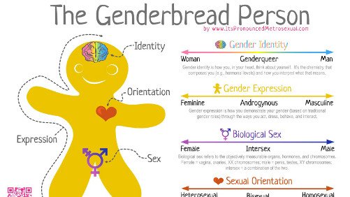 genderbreadperson1008newest.jpg
