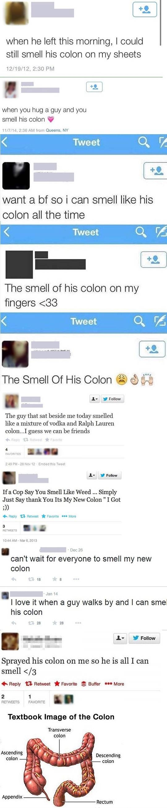 32920152120184.jpg