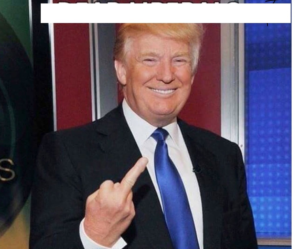 1019068697211703296