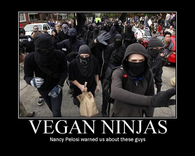 vegan-ninjas.jpg