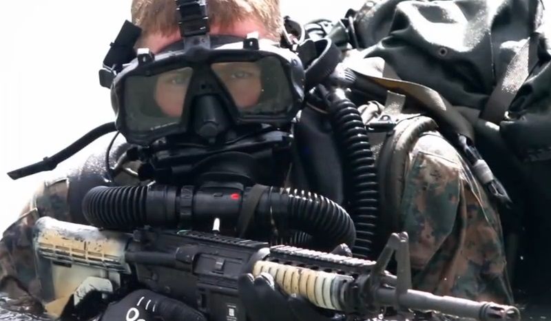Navy-Seal.jpg