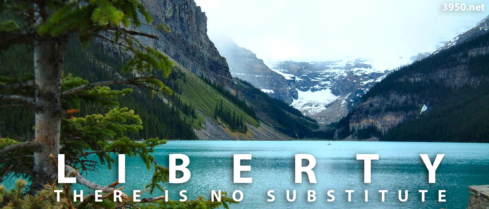Liberty-no-substitute.jpg