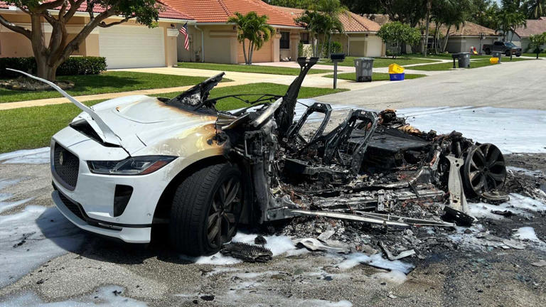 jaguar-burn.jpg