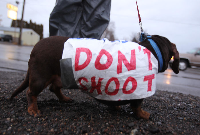 dontshoot.jpg