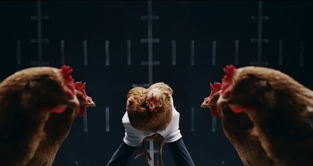 chickens-2.jpg