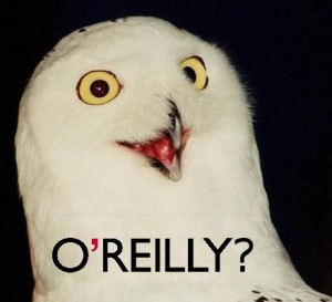 O-REILLY-OWL-300x273.jpg