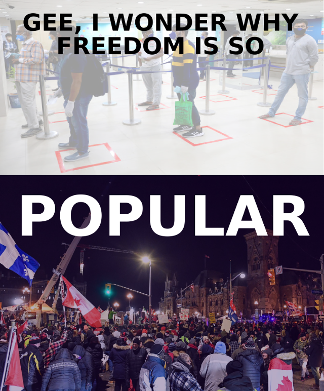 freedom-popular.png