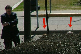 20050408_hiding2.jpg