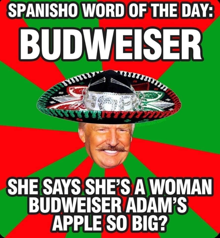 spanish-word-of-the-day-budweiser.jpeg
