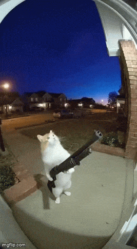 main-qimg-2c7fe469cd6883c498b21dae14a4e87a