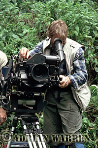 IMAX_Gorilla16.jpg